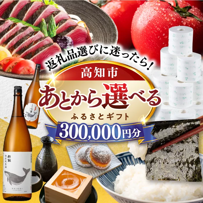 [あとから選べる]高知市ふるさとギフト 30万円分 [ATZX008]