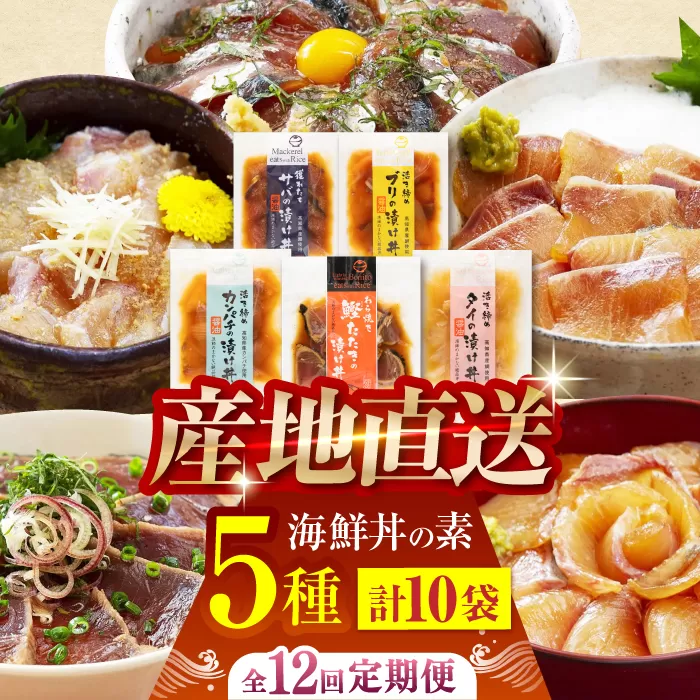 【12回定期便】土佐の海鮮丼の素 5種各2袋 (合計10袋セット) 【株式会社 四国健商】 [ATAF097]