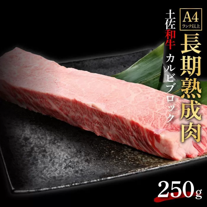 エイジング工法 熟成肉 土佐和牛 特選カルビ ブロック 約250g (冷凍) 【株式会社LATERAL】