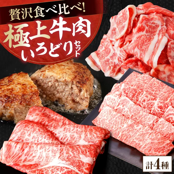 牛肉 いろどりセット 総計2.5kg 切り落とし すき焼き 焼肉 ハンバーグ 【(有)山重食肉】 [ATAP059]