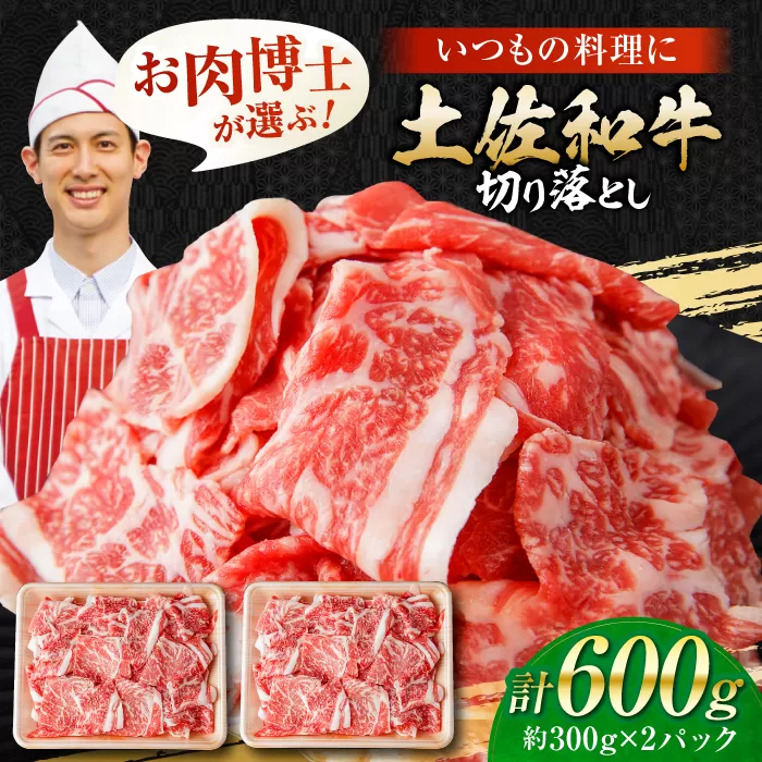 高知県産 土佐和牛 切り落とし 炒め物 すき焼き用 約300g×2 総計約600g 国産 牛肉 切落し すきやき 【(有)山重食肉】 [ATAP079]