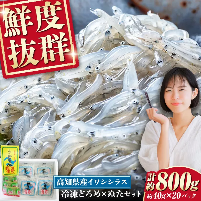 冷凍 どろめ 約40g×20パック（ぬた付き）/真空パック イワシ シラス 魚 どろめ ぬた 冷凍 高知【春野町漁業協同組合】 [ATGA001]