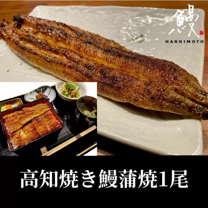 高知焼き鰻蒲焼1尾 【鰻HASHIMOTO】 [ATDX004]
