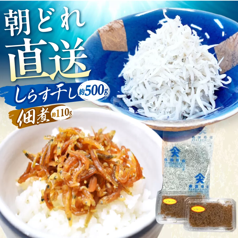しらす干し（約500g）と佃煮（約110g）セット/森国商店　浜で瞬時に釜出し　高知のしらす【グレイジア株式会社】 [ATAC485]