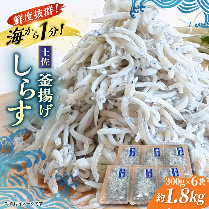 釜揚げしらす 約1.8kg (約300g×6袋) 浜で瞬時に釜出し 高知のしらす 【グレイジア株式会社】 [ATAC081]