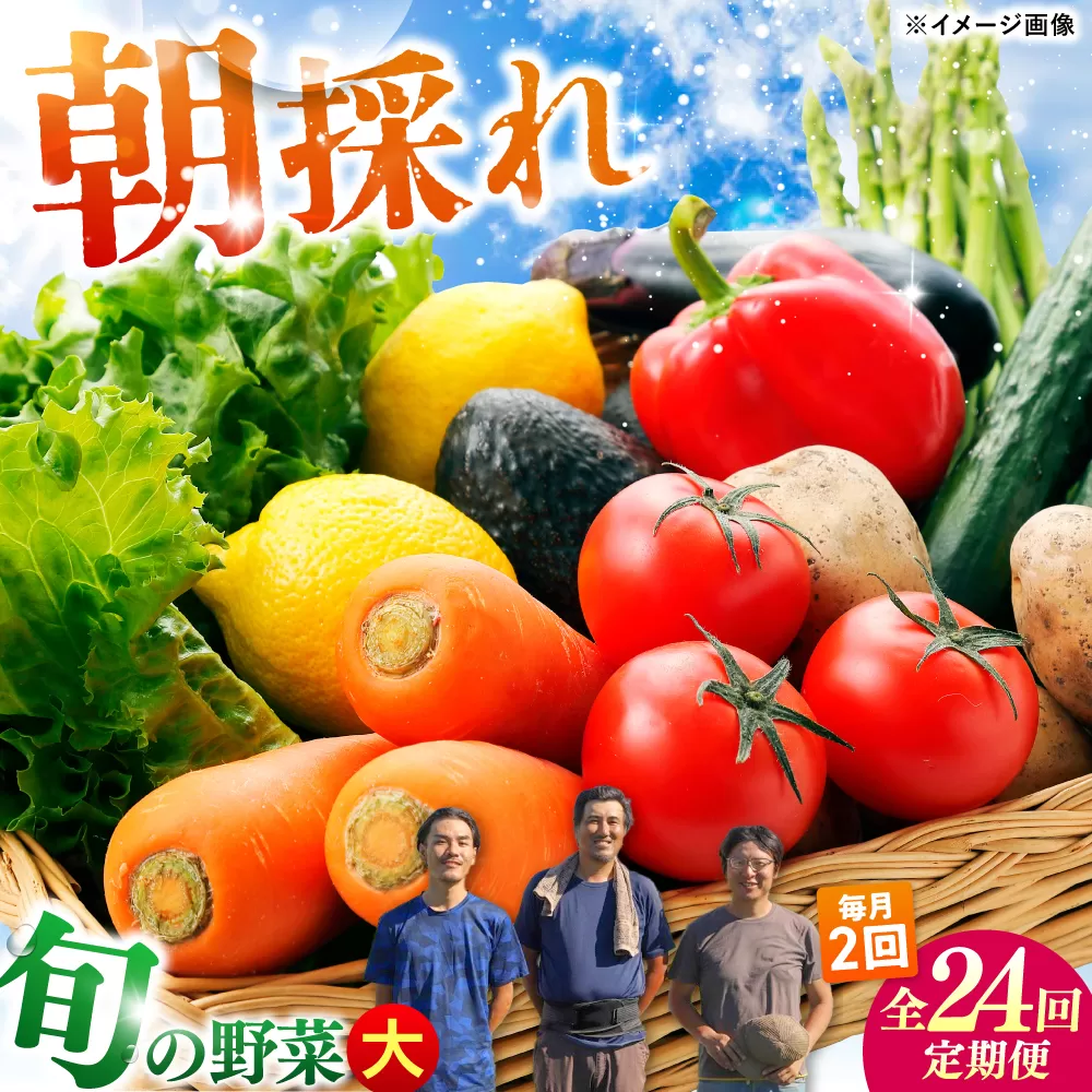 【24回定期便・月2回配送】 土佐の太陽をいっぱいに浴びた旬の野菜セット「大」10〜13品目 / 高知 土佐 旬 野菜 詰め合わせ セット 仕送り 【土佐野菜】 [ATBA018]