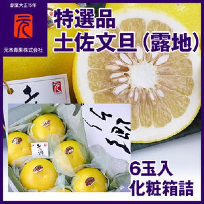 特選品 土佐文旦（露地） 土佐郷（6玉入) | 化粧箱詰 【グレイジア株式会社】 [ATAC327]
