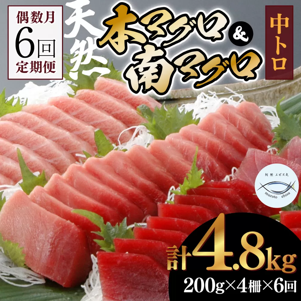 【６回定期便】天然本マグロ　天然南マグロ　中トロ　各２柵　偶数月にお届け