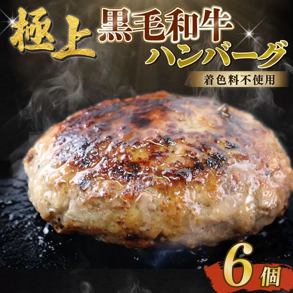 自家製 手作り 黒毛和牛ハンバーグ 約90g×6個 総計約540g ハンバーグ 国産 牛肉 100％ 【(有)山重食肉】（室戸海洋深層水塩使用）