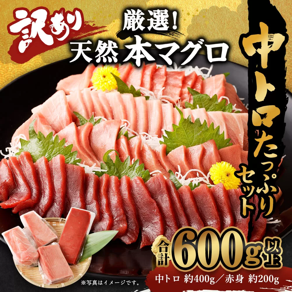 【訳あり】厳選天然本マグロ 中トロたっぷりセット 合計約600g (中トロ400g・赤身200g) ふるさと納税限定 食べ比べ ブロック 魚 惣菜 刺身 高知県 魚介 お刺し身 鮪 まぐろ丼 刺身 手巻き寿司 海鮮丼 漬け丼 冷凍 コロナ支援