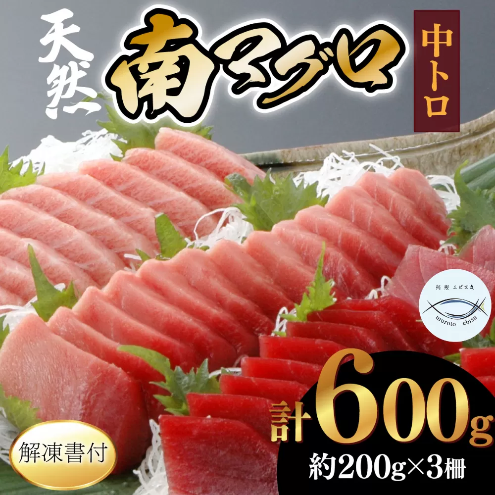 【中トロ】天然南マグロ　中トロ３柵【解凍書付】