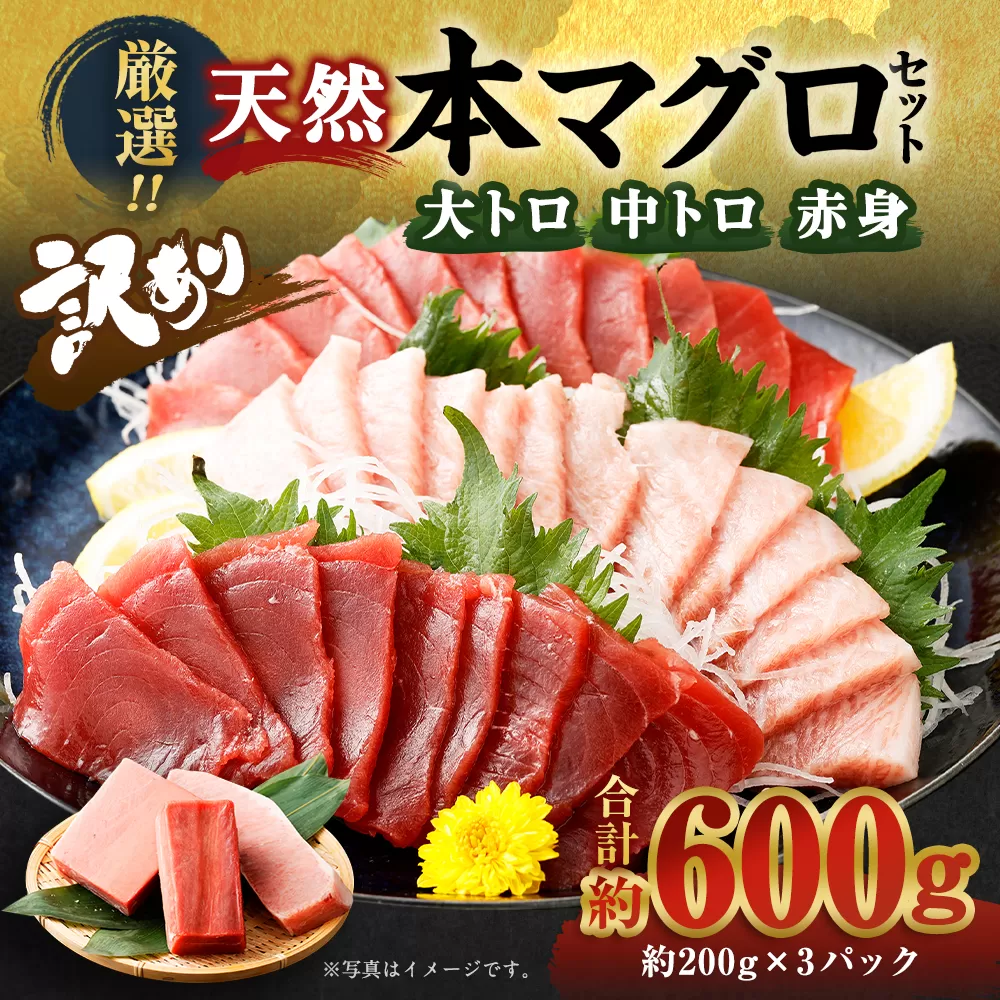 【訳あり】【コロナ緊急支援品】厳選天然本マグロ 3種類 セット 合計約600g (大トロ200g・中トロ200g・赤身200g) ふるさと納税限定 食べ比べ サク ブロック 魚 惣菜 刺身 鮪 まぐろ丼 高知県 お刺し身 魚介 手巻き寿司 海鮮丼 漬け丼 冷凍