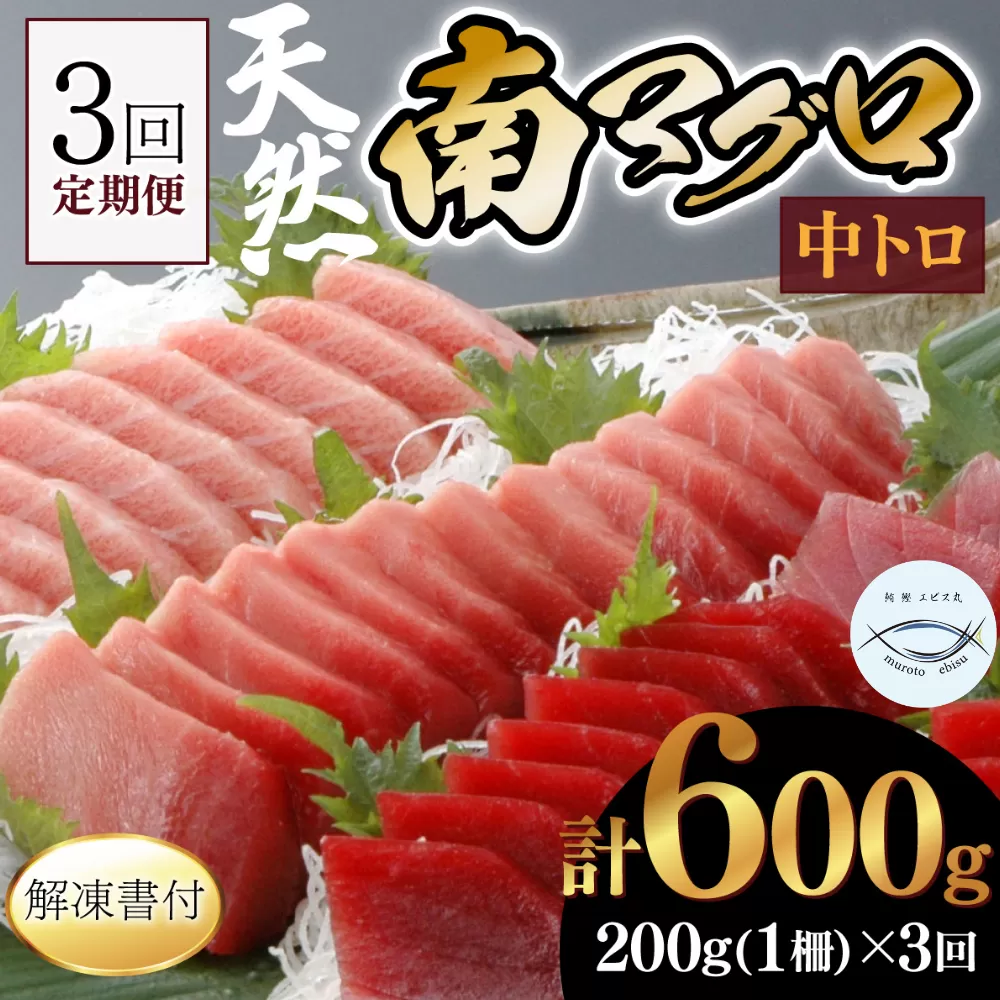 【３回定期便】天然南マグロ　中トロ　１柵　解凍書付 海鮮 魚介 鮪 惣菜 冷凍 ミナミマグロ