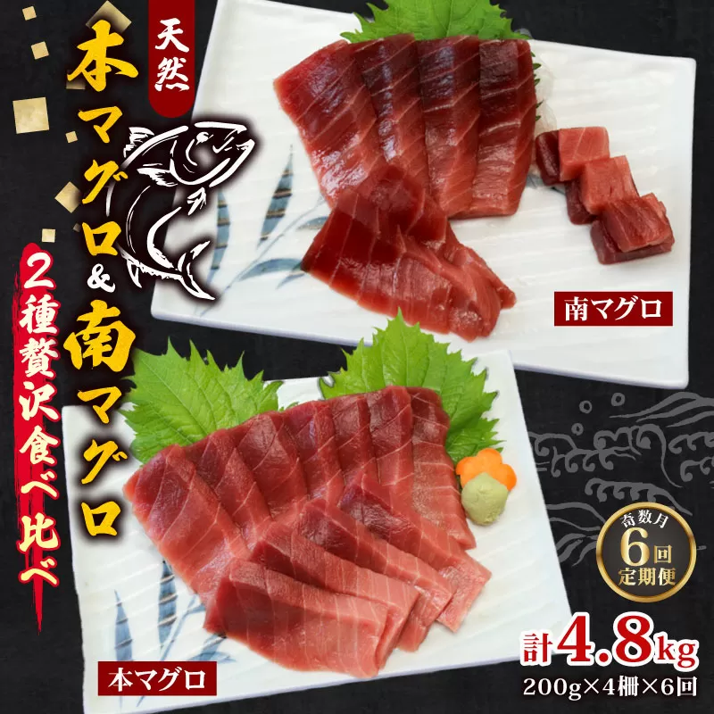 【６回定期便】天然本マグロ 天然南マグロ 中トロ 各２柵 奇数月 まぐろ 鮪 鮮魚 刺身 寿司 高級 食べ比べ