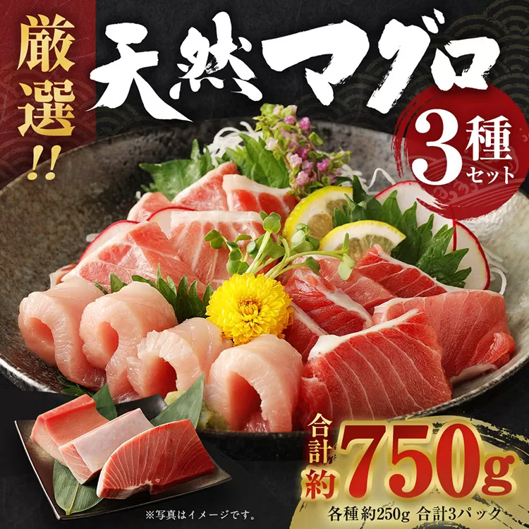 【訳あり】厳選天然マグロ 3種セット 合計約750g (南マグロ250g・めばちマグロ250g・びんちょうマグロ250g) 3種類 ふるさと納税限定 食べ比べ ブロック 魚 惣菜  刺身 まぐろ丼 手巻き寿司 海鮮丼 冷凍 20000円 コロナ支援