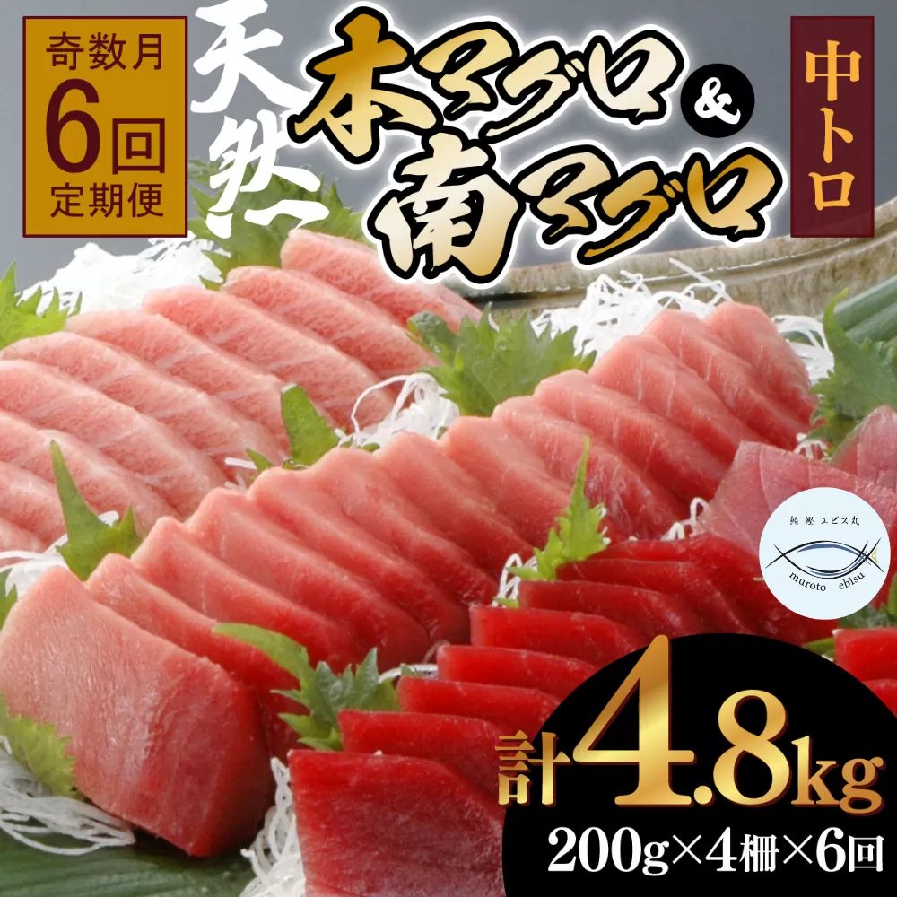 【６回定期便】天然本マグロ　天然南マグロ　中トロ　各２柵　奇数月にお届け