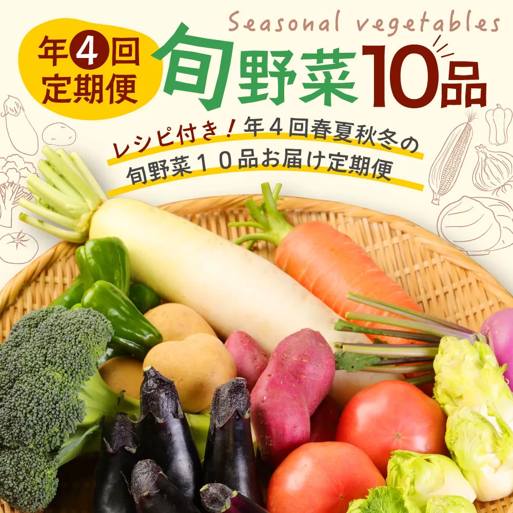 季節のお野菜詰め合わせセット 定期便 春夏秋冬年4回 旬野菜 1回あたり10品 セット 詰め合わせ 野菜 旬 おまかせ 新鮮 やさい レシピ付き 高知県 室戸市