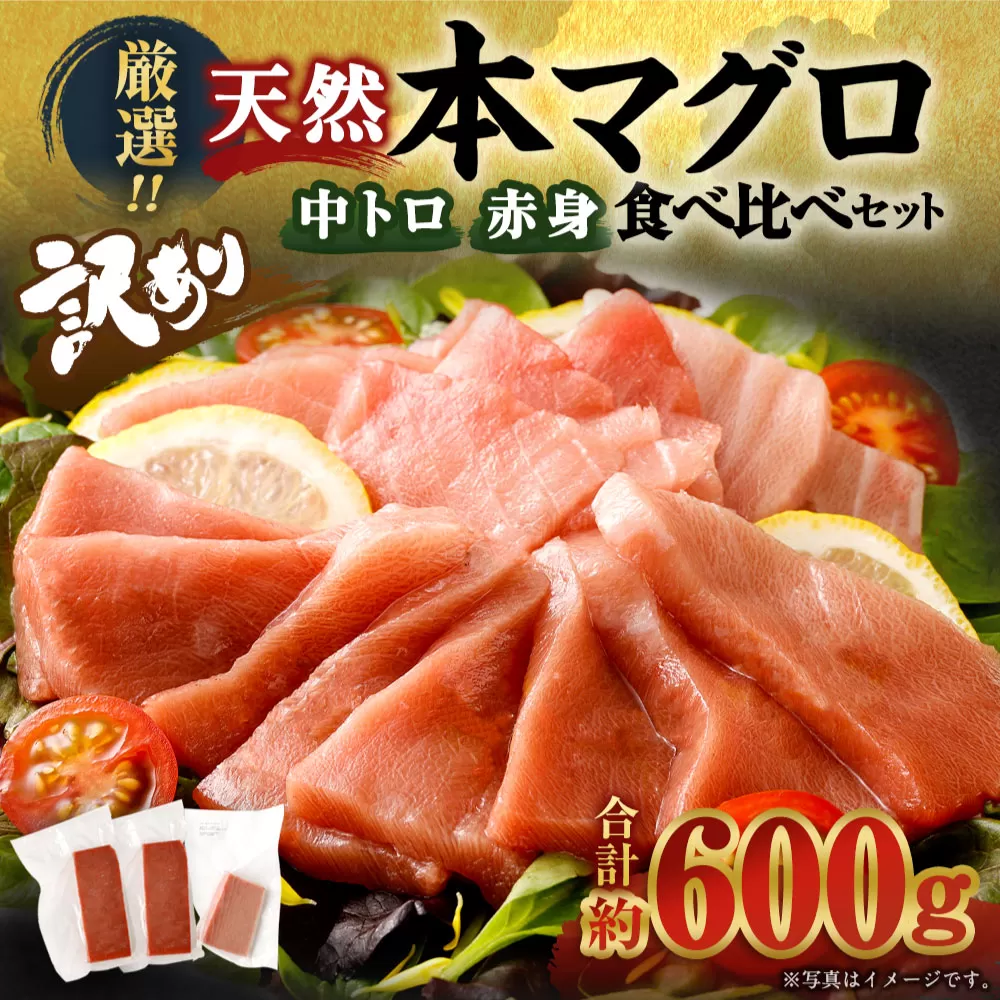 【コロナ緊急支援品】厳選天然本マグロ 中トロ・赤身 食べ比べセット 合計約600g (中トロ約200g・赤身約400g) ふるさと納税限定 魚 惣菜 まぐろ 刺身 お刺し身 鮪 魚介 ちらし寿司 高知県 手巻き寿司 訳あり 海鮮丼 漬け丼 冷凍 送料無料 ge004