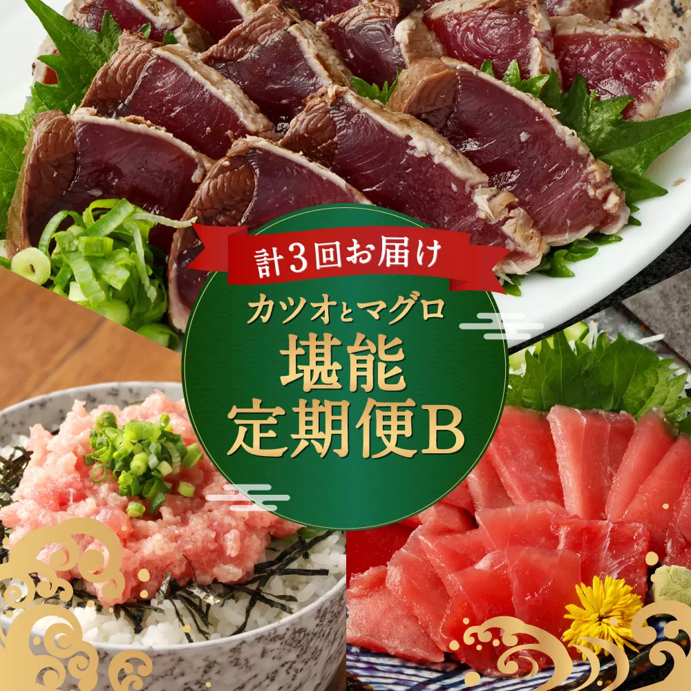 [3回定期便]カツオとマグロ堪能定期便B お楽しみ 切り落とし 刺身 刺し身 鮪 鰹 まぐろ カツオのたたき ネギトロ 海鮮 魚 惣菜 海産物 魚介類 魚貝 高知県 まぐろたたき 冷凍 訳あり 不揃い 傷 規格外 故郷納税 どんぶり お手軽 便利