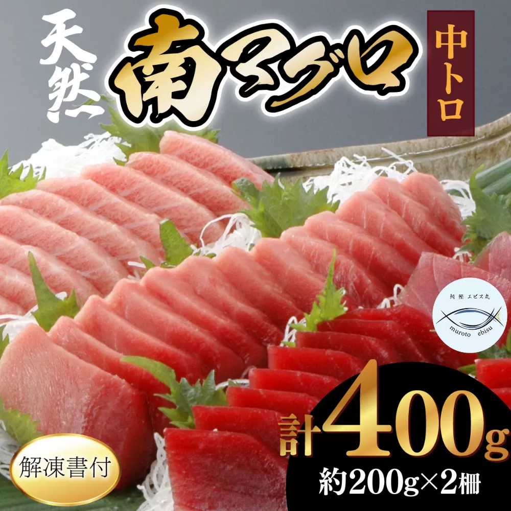 【中トロ】天然南マグロ　中トロ２柵【解凍書付】