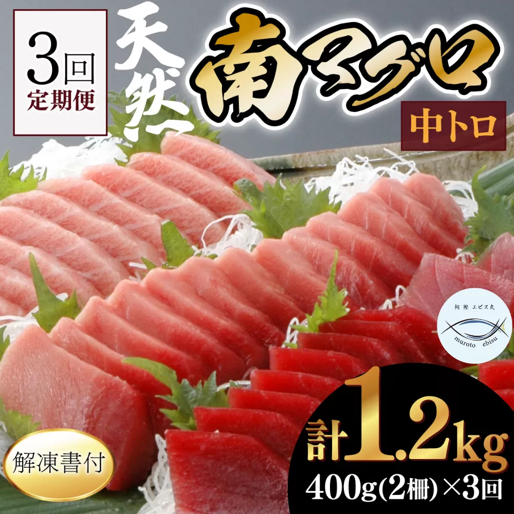 【３回定期便】天然南マグロ　中トロ　２柵　解凍書付 海鮮 魚介 鮪 惣菜 冷凍 ミナミマグロ