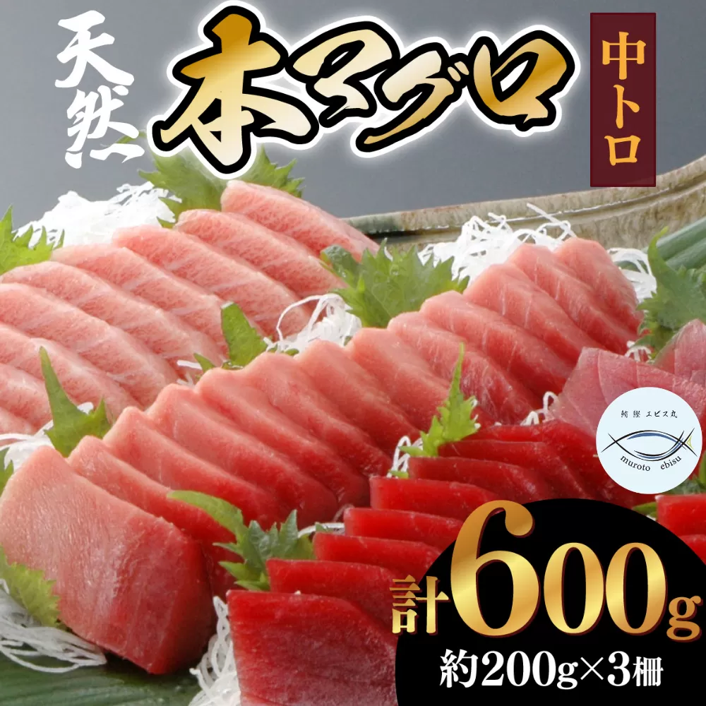 天然本マグロ　中トロ　３柵（６００ｇ）