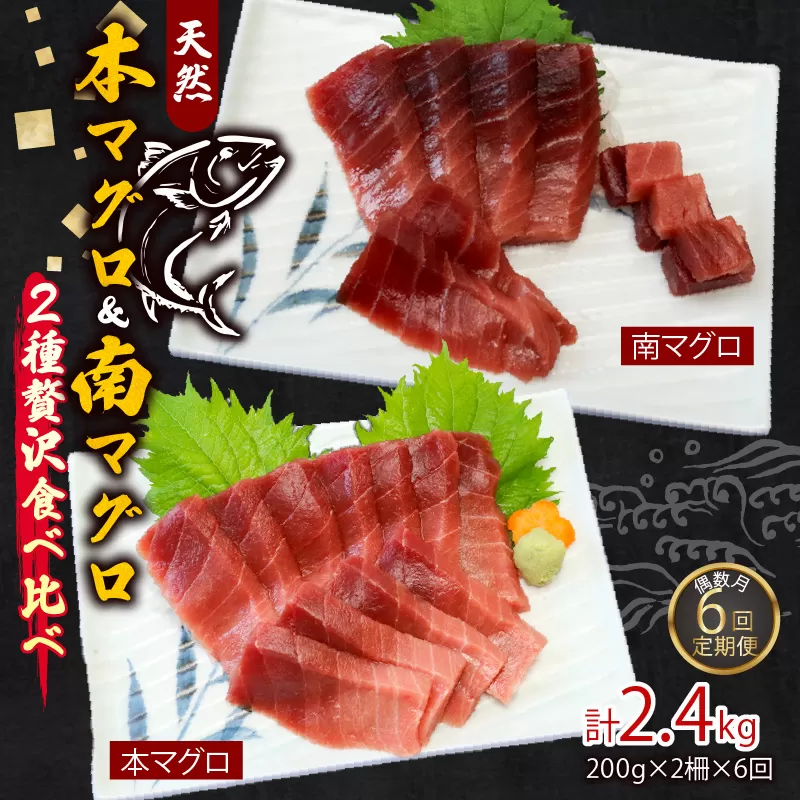 【６回定期便】天然本マグロ 天然南マグロ 中トロ 各1柵 偶数月 まぐろ 鮪 鮮魚 刺身 寿司 高級 食べ比べ