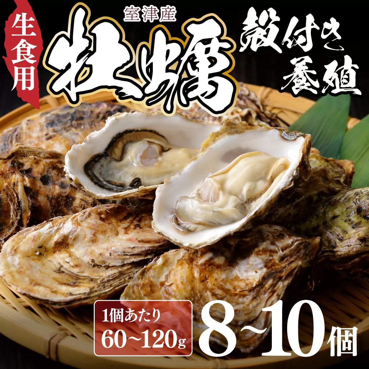 【国産】殻付き牡蠣 旅する牡蠣 プレミアムオイスター 室津 8〜10個入り 室戸海洋深層水 生食用 生食 生ガキ 生食用カキ カキ 牡蠣 かき 魚貝類 冷蔵 先行予約 10000円 1万円 送料無料 ak003
