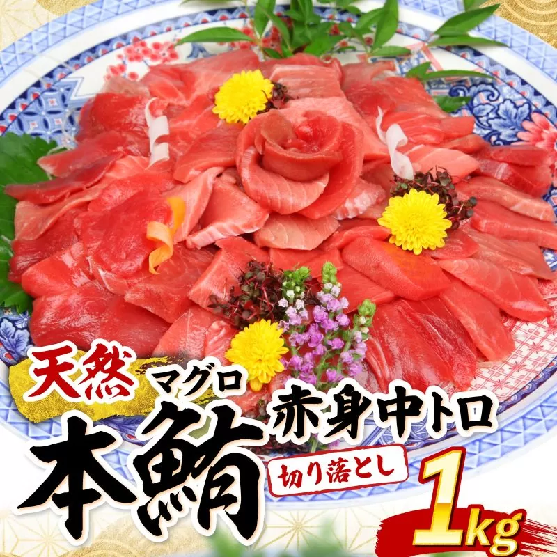 高豊丸 天然本マグロ (赤身・中とろ) 切り落とし 100g×10パック 1kg マグロ 刺身 刺し身 魚 惣菜 海鮮丼 魚介類 小分け 訳あり 不揃い 冷凍