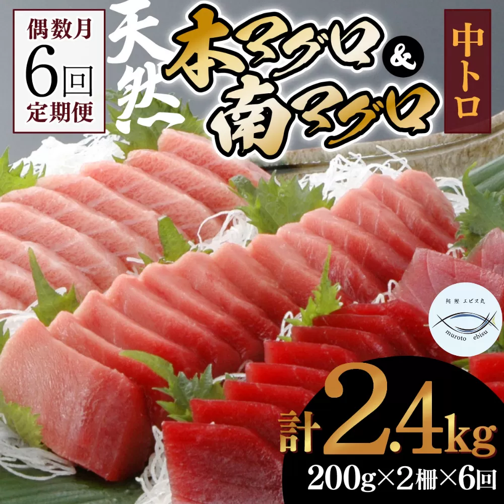 【６回定期便】天然本マグロ　天然南マグロ　中トロ　各1柵　偶数月にお届け