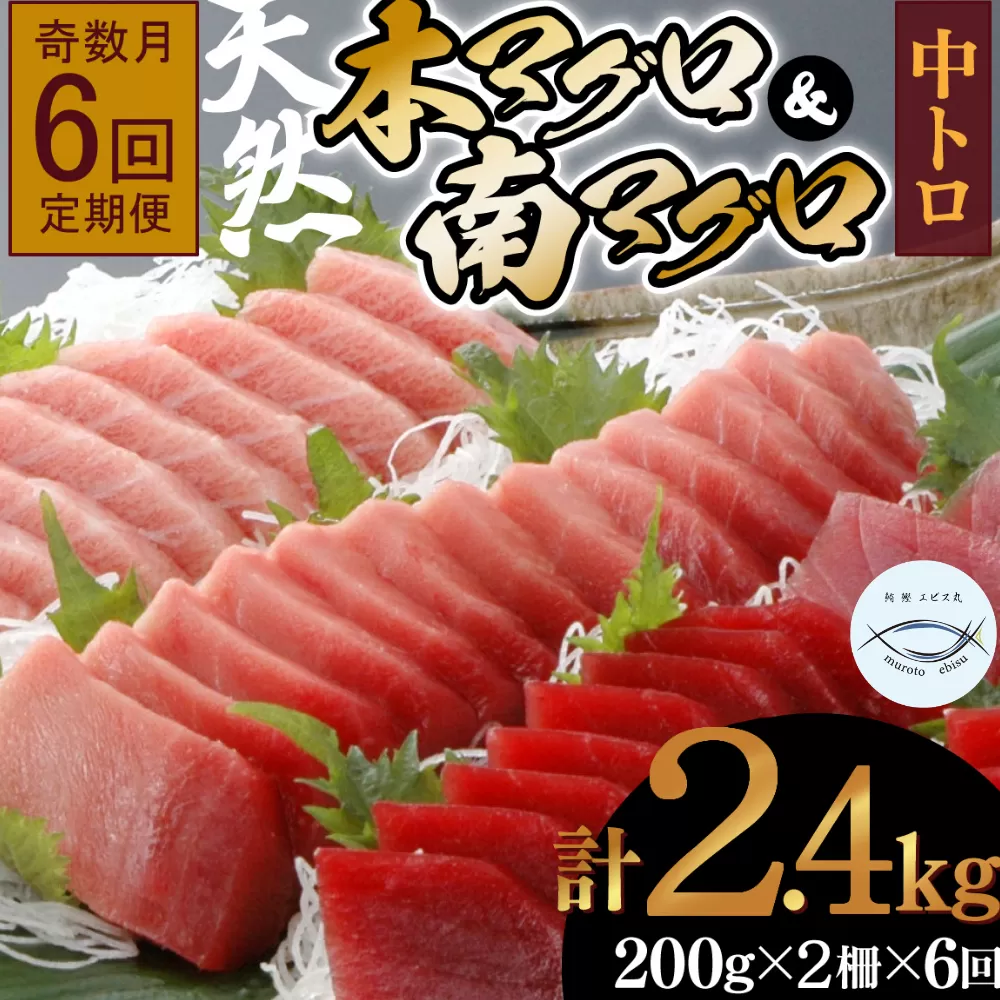【６回定期便】天然本マグロ　天然南マグロ　中トロ　各1柵　奇数月にお届け