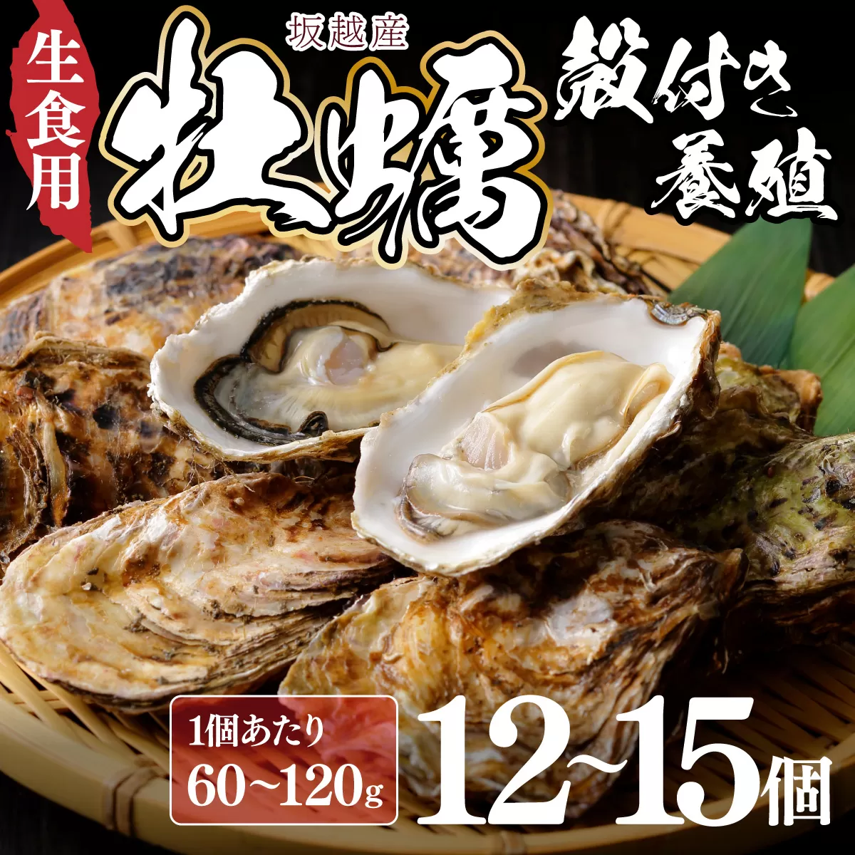 【国産】殻付き牡蠣 旅する牡蠣 プレミアムオイスター 坂越 12〜15個入り 室戸海洋深層水 生食用 生食 生ガキ 生食用カキ カキ 牡蠣 かき 魚貝類 冷蔵 先行予約 15000円 送料無料 ak002