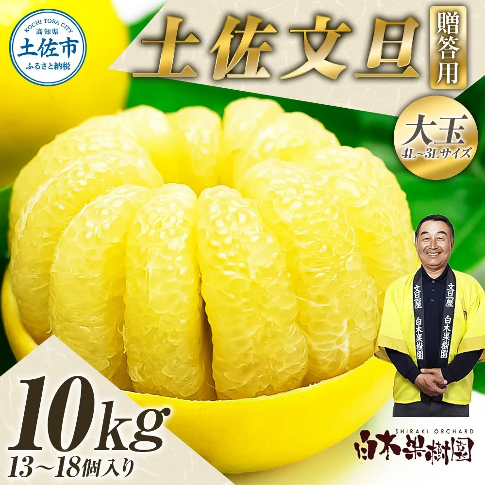 ＼果樹園直送／土佐文旦 約10kg 4L～3Lサイズ 13～18個入り 大玉・特大玉〈特選品贈答用〉 白木果樹園