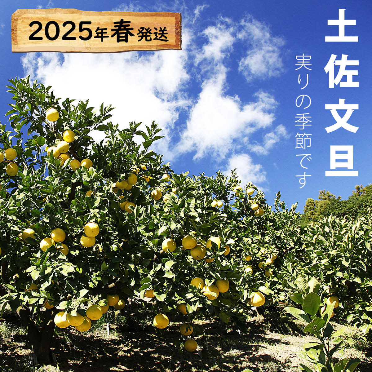 数量限定SALE 宮本浩次 キーホルダー 冬の花 エレファントカシマシ（完売商品 ミュージシャン