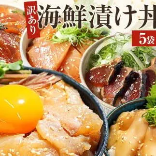 訳あり 海鮮漬け丼 （5種×各1P）計5P セット マグロ 鯛 イカ ブリ 鰹のたたき 海鮮丼セット 漬け丼 海鮮丼 漬け づけ丼 食べくらべ 漬け丼の素 海鮮丼の具 海鮮セット まぐろ いか ぶり 鯛 かつおのたたき 鰹タタキ 訳アリ 不揃い 規格外 わけあり 食べ比べ 海鮮 魚介類 水産加工品 冷凍 食品 保存食 鯛茶漬け 小分け 一人暮らし 簡単 高知 惣菜 7000円
