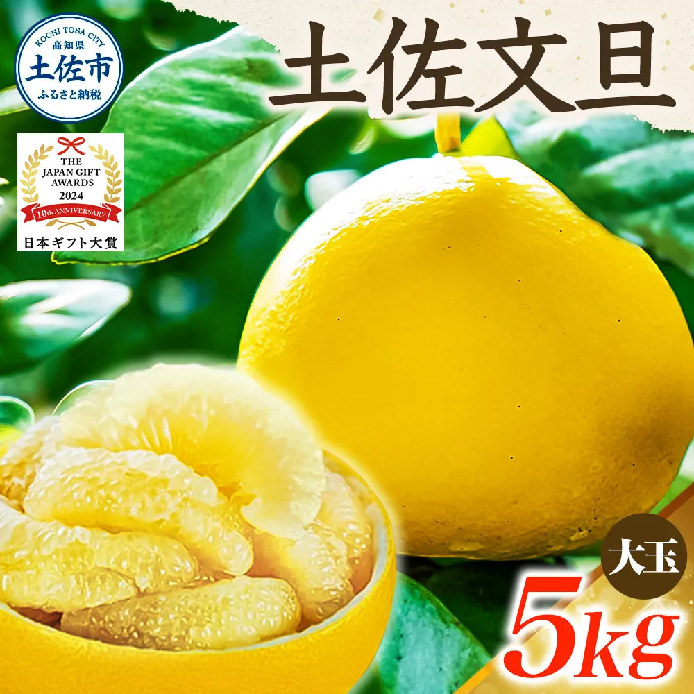 【日本ギフト大賞2024受賞】先行予約 園主こだわり土佐文旦 【大玉5kg】（3L～2L） 2026年1月下旬より順次発送 ぶんたん ブンタン 柑橘 フルーツ 果物 贈答 ギフト 土佐 高知 やの一果彩