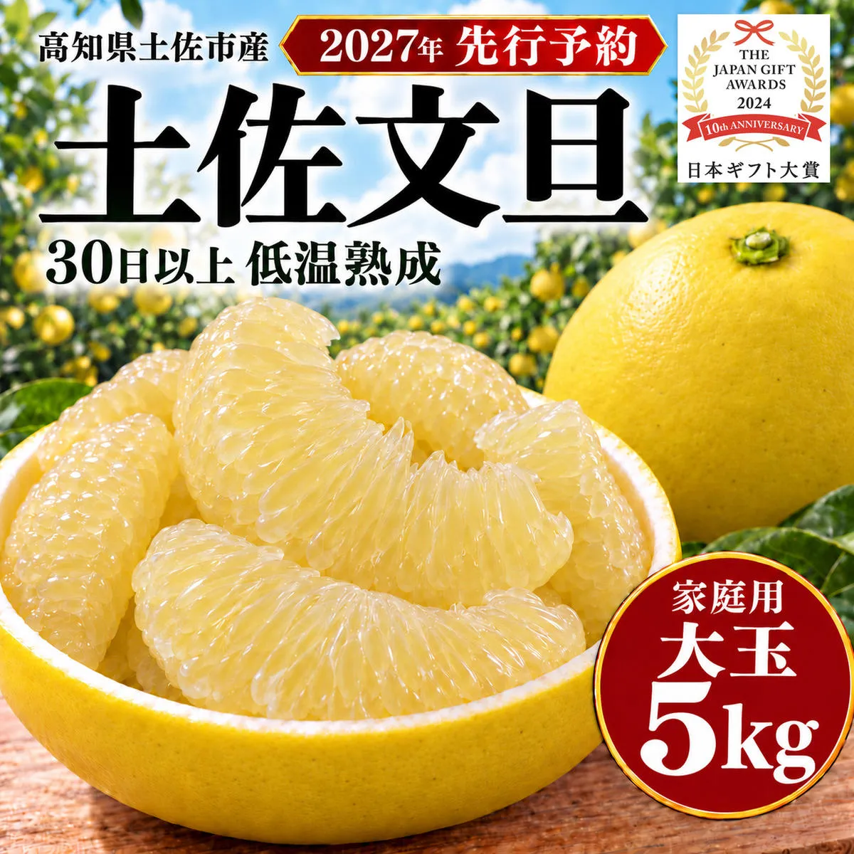 土佐文旦 大玉 5kg 家庭用 日本ギフト大賞受賞 文旦発祥の地 園主こだわり 3L～2L 高知県土佐市産 高知県産 国産 5キロ ぶんたん ブンタン 蜜柑 みかん 柑橘類 高級フルーツ 果物 産地直送 お取り寄せ ギフト 数量限定 期間限定 季節限定 先行予約 やの一果彩[BQAC002]
