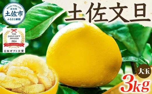 【日本ギフト大賞2024受賞】【先行予約】 文旦3kg 大玉（3L～2L）家庭用 高知県 土佐文旦  旬 ぶんたん ブンタン 柑橘 フルーツ 果物 贈答 ギフト 土佐 高知 やの一果彩【やの一果彩】 [BQAC001]