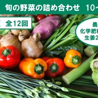 【12回定期便】栽培期間中に農薬不使用の生姜200gと旬の野菜詰め合わせ10～13品目 野菜 野菜セット 詰め合わせ しょうが ショウガ 旬 新鮮 朝どれ 取り寄せ 定期便【株式会社SIMA】 [BQAZ008]