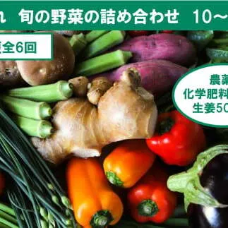 【6回定期便】栽培期間中に農薬不使用の生姜200gと旬の野菜詰め合わせ10～13品目 野菜 野菜セット 詰め合わせ しょうが ショウガ 旬 新鮮 朝どれ 取り寄せ【株式会社SIMA】 [BQAZ007]
