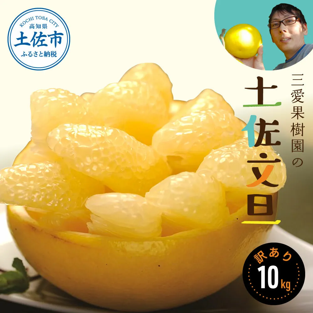 【訳あり】三愛果樹園の土佐文旦10kg　ワケあり 訳アリ ぶんたん ブンタン 果物 柑橘 フルーツ 故郷納税 ふるさとのうぜい 返礼品 高知県 高知