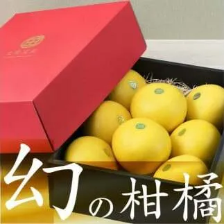 秀品 ☆高知産土佐文旦☆３L８玉入【贈答用】文旦 みかん 柑橘 フルーツ 先行予約 ２月～３月発送 ぶんたん ブンタン 果物 お取り寄せ おいしい 美味しい 故郷納税 ふるさとのうぜい 返礼品 高知県 高知 