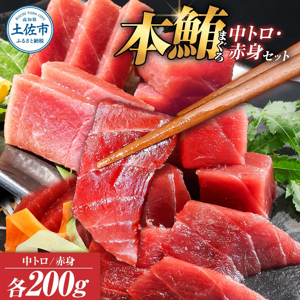 本鮪 中トロ・赤身 各200g合せて400g｜土佐市｜高知県｜返礼品を