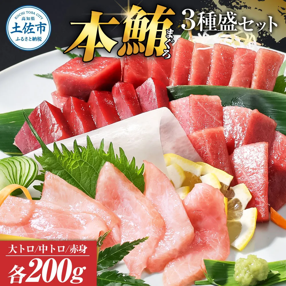 本マグロ 本鮪 大トロ・中トロ・赤身 各200g まぐろ3種盛セット マグロ まぐろ 本まぐろ 刺身 刺し身 魚 海鮮 冷凍 美味しい おいしい 食べ比べ セット 詰め合わせ【株式会社大熊】 [BQAA039]