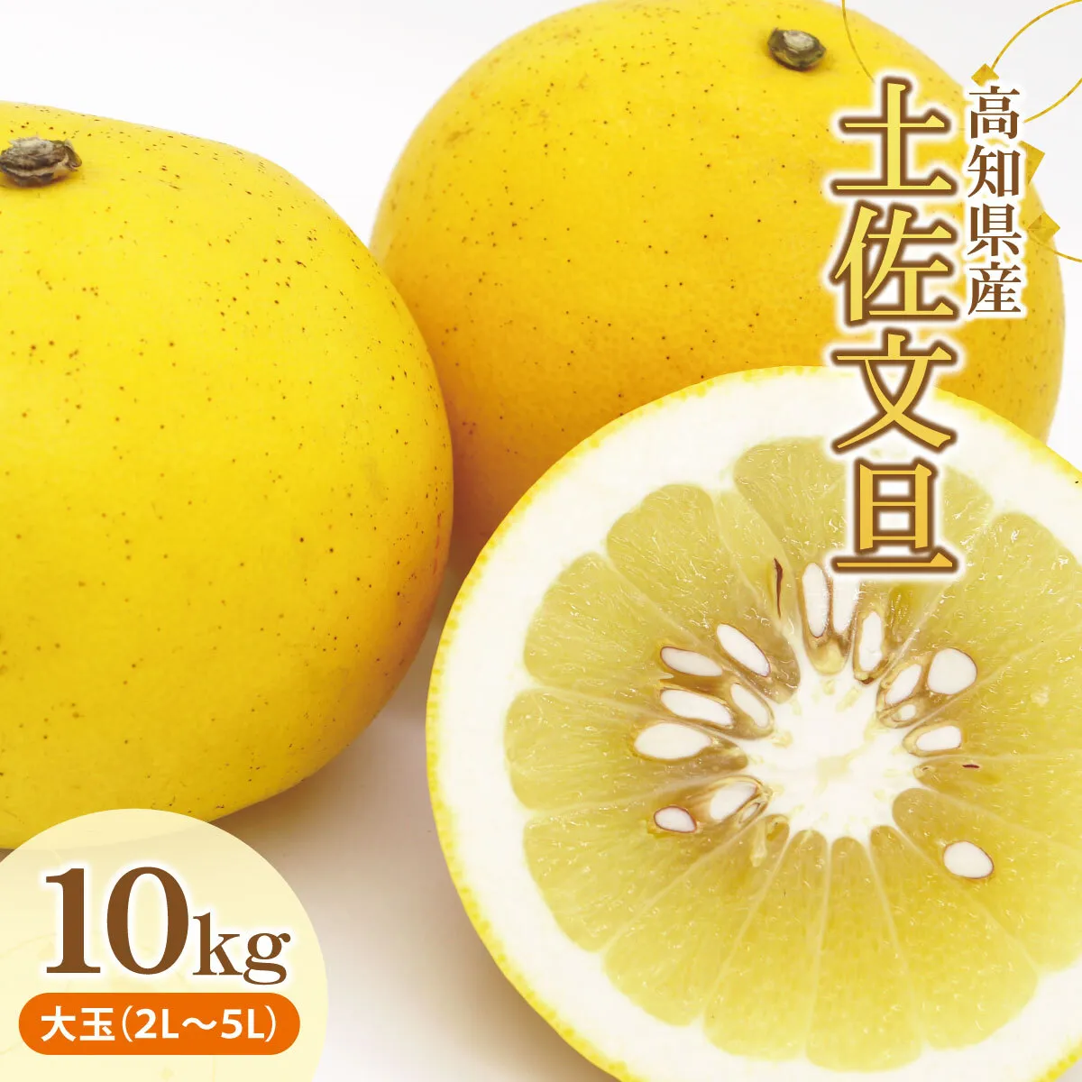 土佐文旦(ぶんたん)(大玉:2L〜5L混合)約10kg[株式会社とさもん(土佐市)] 文旦 10キロ 約14〜21玉 ぶんたん ブンタン 柑橘 果物 フルーツ お取り寄せ おいしい 美味しい