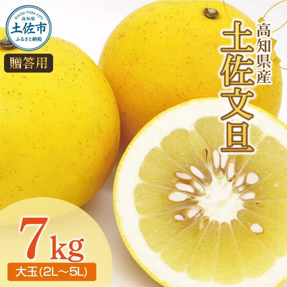 【先行予約】土佐文旦（大玉：2L～5L 混合）約7kg 〈2027年3月中旬～発送〉/ 土佐文旦発祥の地 産地直送 家庭用 贈答用 大玉 特大 3l 4l 約10～15玉 文旦 ぶんたん ブンタン 柑橘【株式会社とさもん】