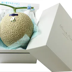 【先行予約】プリンセスニーナ　土佐市産メロン