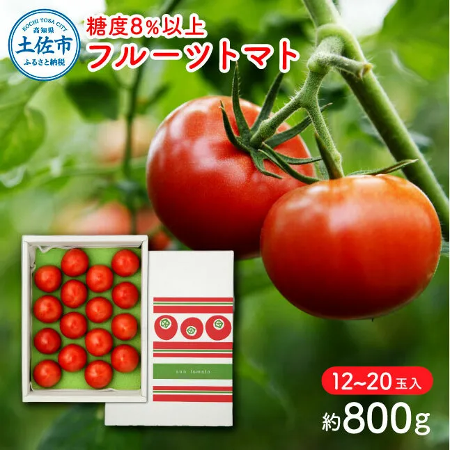 フルーツトマト（約800グラム） 12～20玉入り 糖度8度以上 フルーツトマト ふるーつとまと とまと トマト 甘い 濃厚 美味しい 箱入り 野菜 料理 サラダ お取り寄せグルメ 高知県産