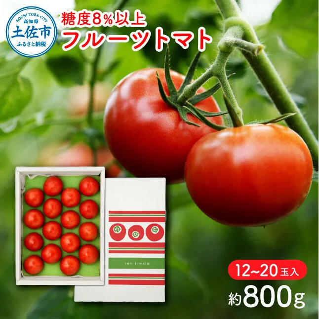 フルーツトマト（約800グラム） 12～20玉入り 糖度8度以上 