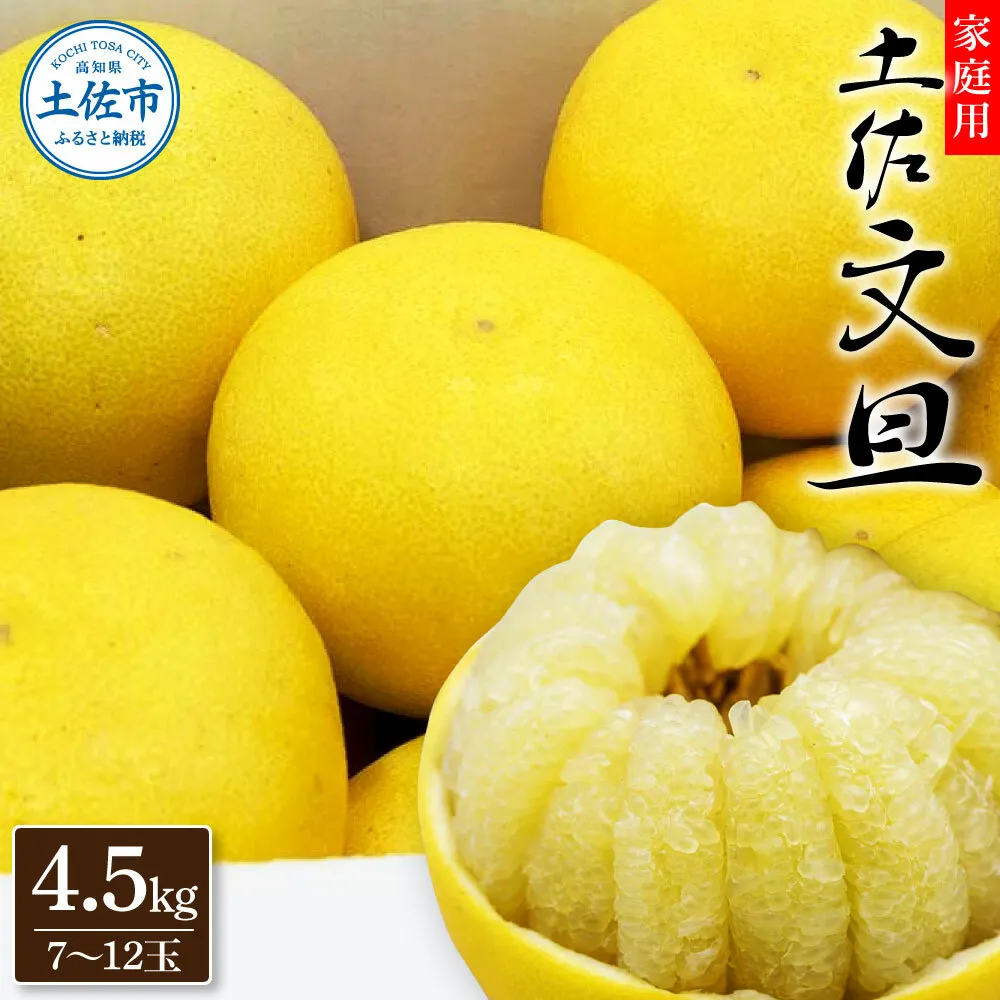 生産者直送　土佐文旦　4.5kg　[サイズおまかせ　2L～4L]　家庭用 文旦 柑橘 みかん フルーツ ぶんたん ブンタン 果物  お取り寄せ おいしい 美味しい 故郷納税 ふるさとのうぜい 返礼品 高知県 高知【2026年1月下旬より発送】